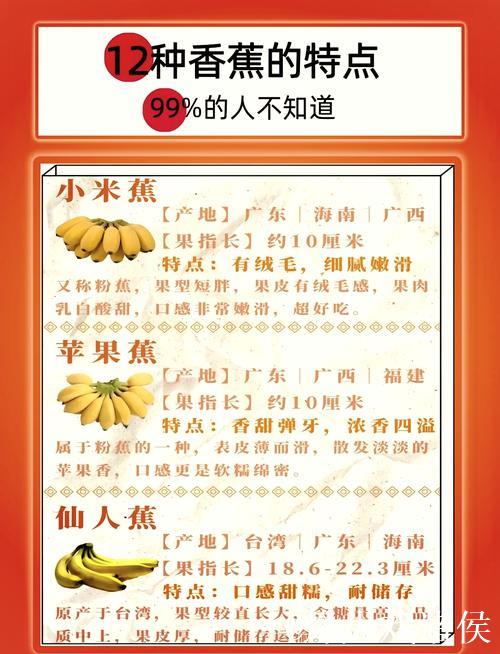 深度解析国产精品视频一级香蕉的独特魅力